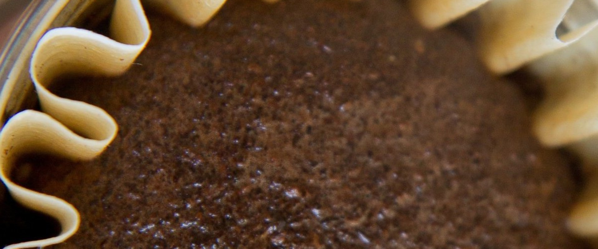 What's better white or brown coffee filters?